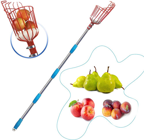 Fruit Picker Tool