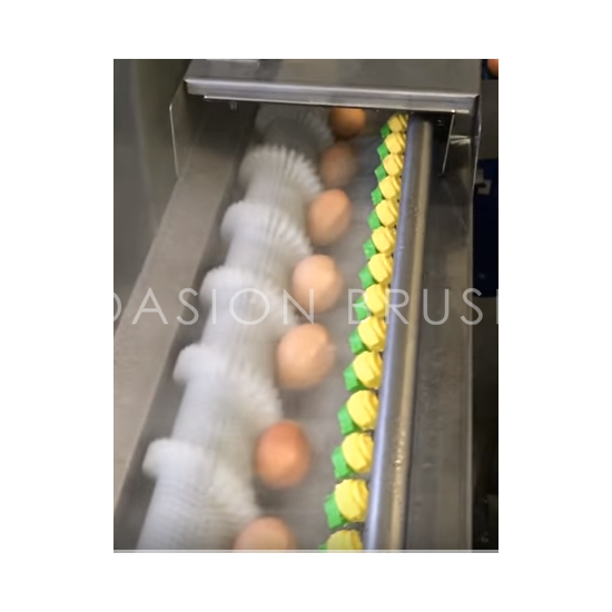 Egg Washing Machine Brush Roller Industrial Duck Eggs Washing Machine Fresh  Egg Washing Machine Egg Washing Machine Egg Washer Egg Washer Machine -  China Egg Washing Machine Brush Roller, Industrial Duck Eggs