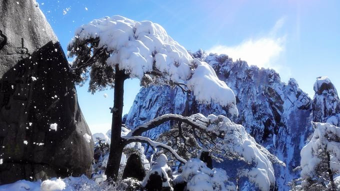 A timely snow promises a good harvest